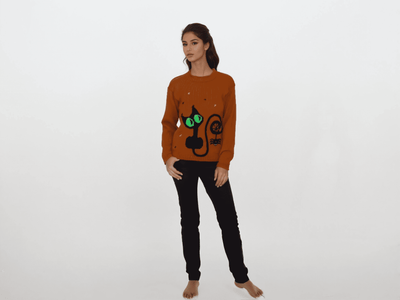 Burnt Orange jumper cat and sprider embroidery knitted  