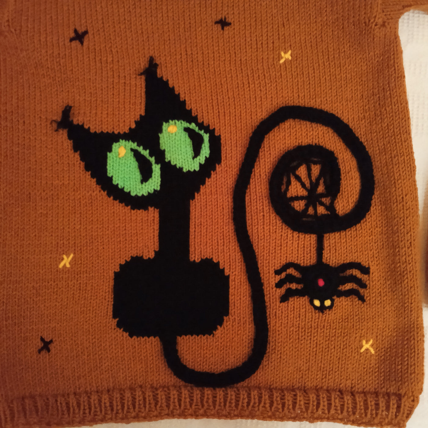 Halloween Black Cat and Spider Sweater - Burnt Orange Jumper